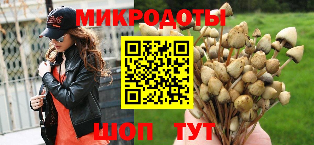 Аша  Галлюциногенные грибы Psilocybine cubensis  Вход с VPN  Псилоцибиновые грибы мухоморы 